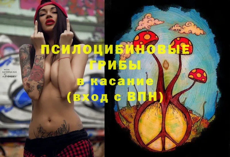 Псилоцибиновые грибы Magic Shrooms  сколько стоит  Инза 